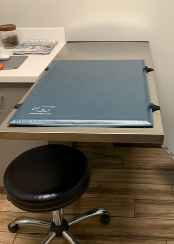 Bella Bed: Waterproof Veterinary Mat for Fold Down Exam Tables