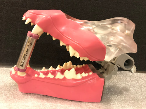 Smart Veterinary Mouth Gag Set